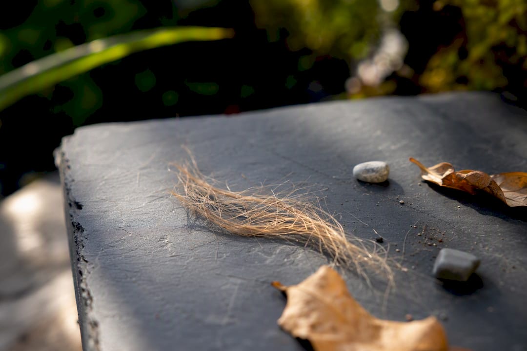 Close-up of sun damaged hair strands outdoors