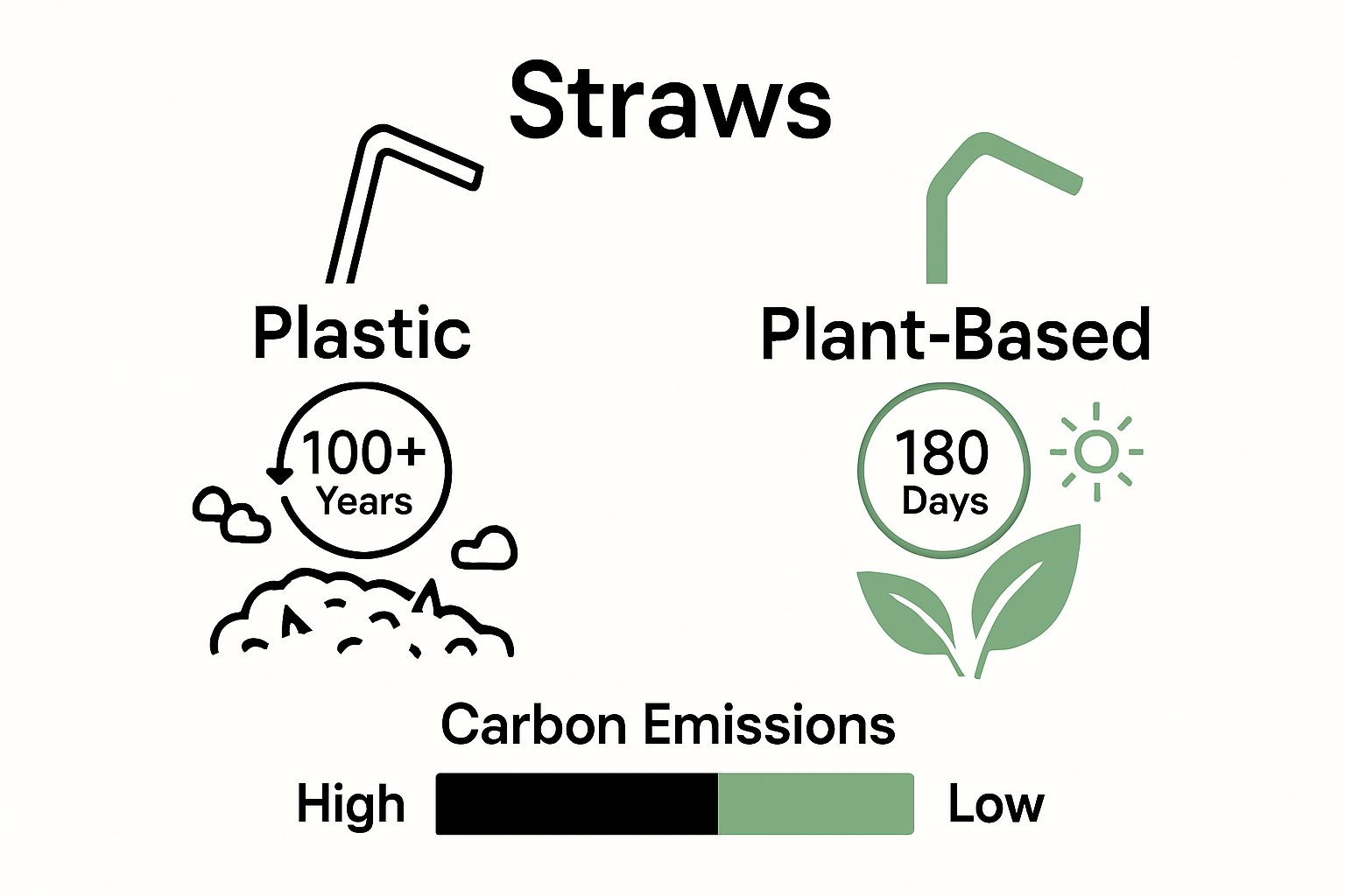 Comparison of plant-based and plastic straws longevity and emissions