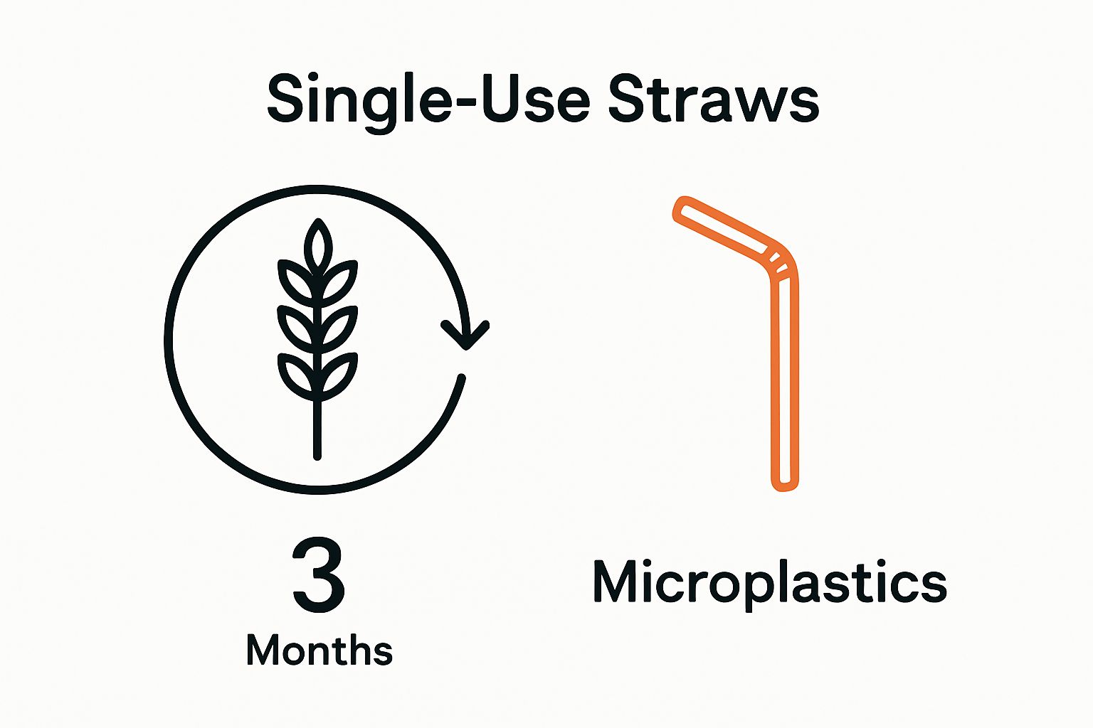 Infographic comparing decomposing times of wheat straw and plastic straws