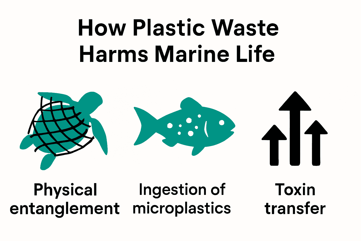 Infographic showing physical entanglement, microplastic ingestion, and toxin transfer in marine life