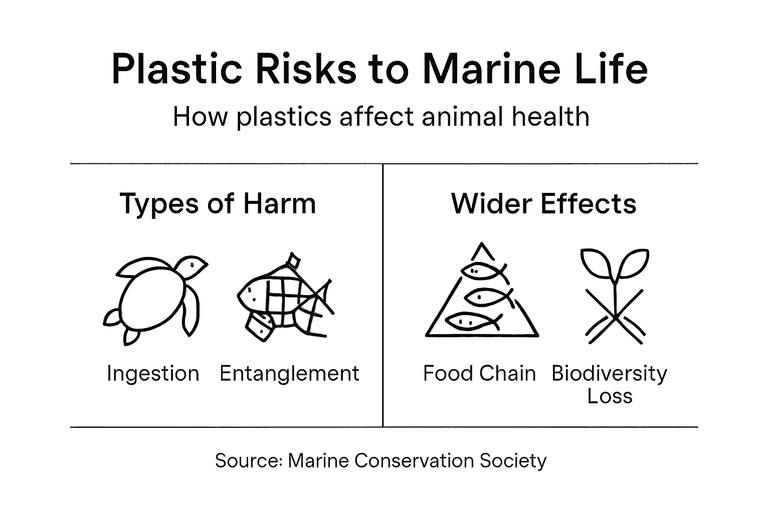 Infographic illustrating marine plastic risks