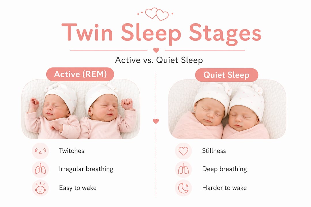 Infographic comparing active and quiet twin sleep stages