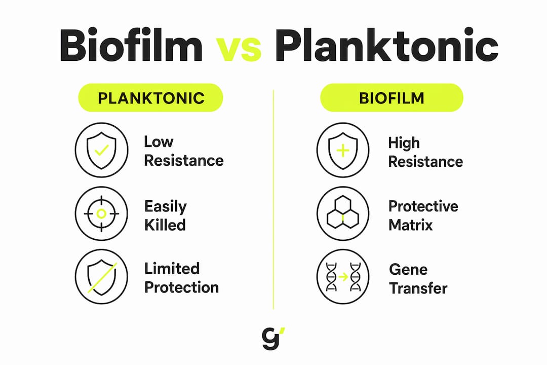 Infographic comparing biofilm and planktonic bacteria