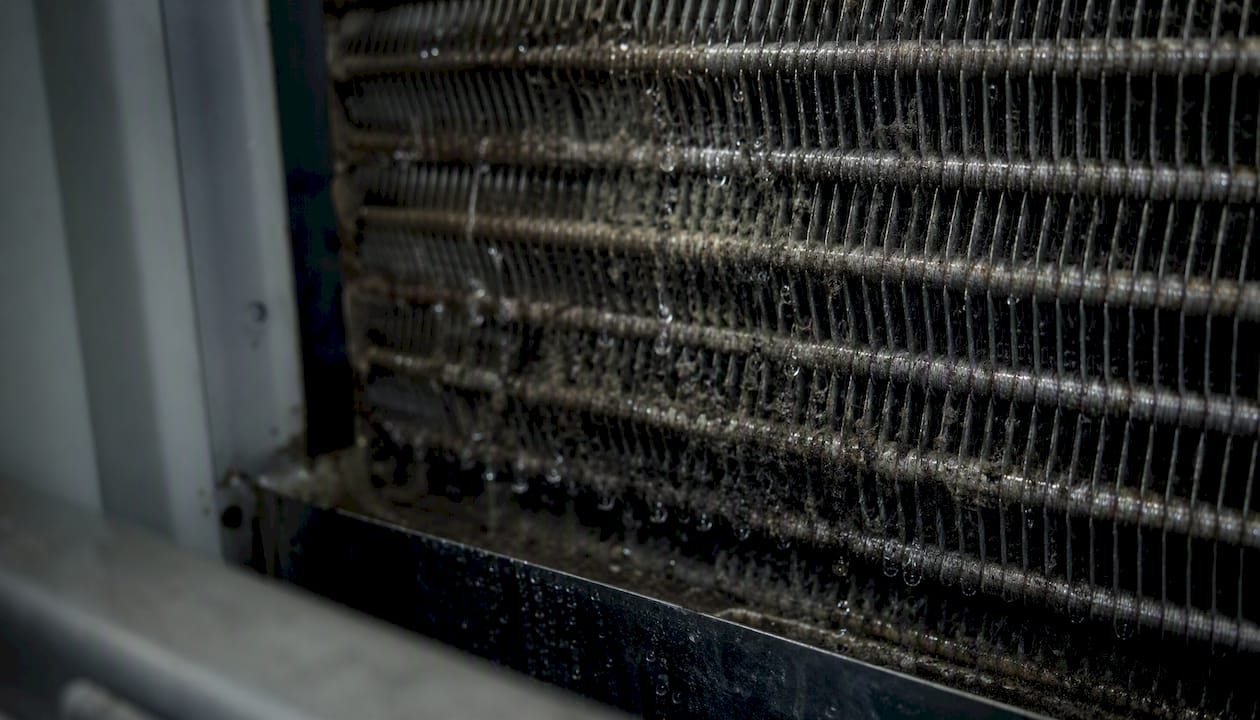 Moist HVAC coil with microbial growth
