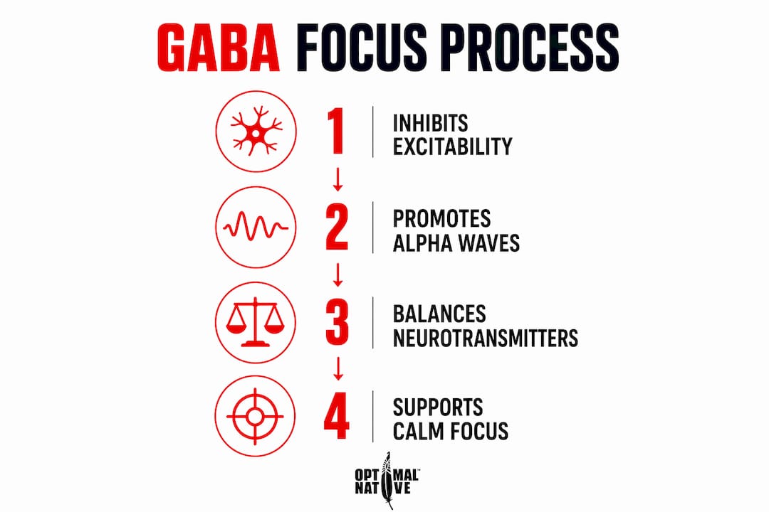 Infographic illustrating GABA's calm focus process