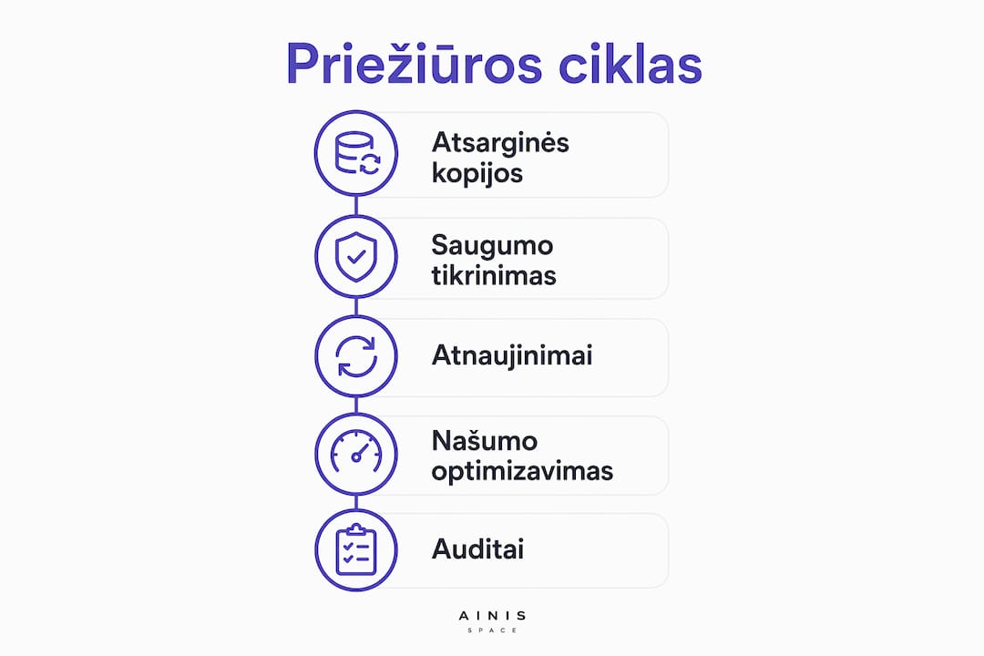 WordPress svetainės priežiūros etapus vaizduojanti infografika