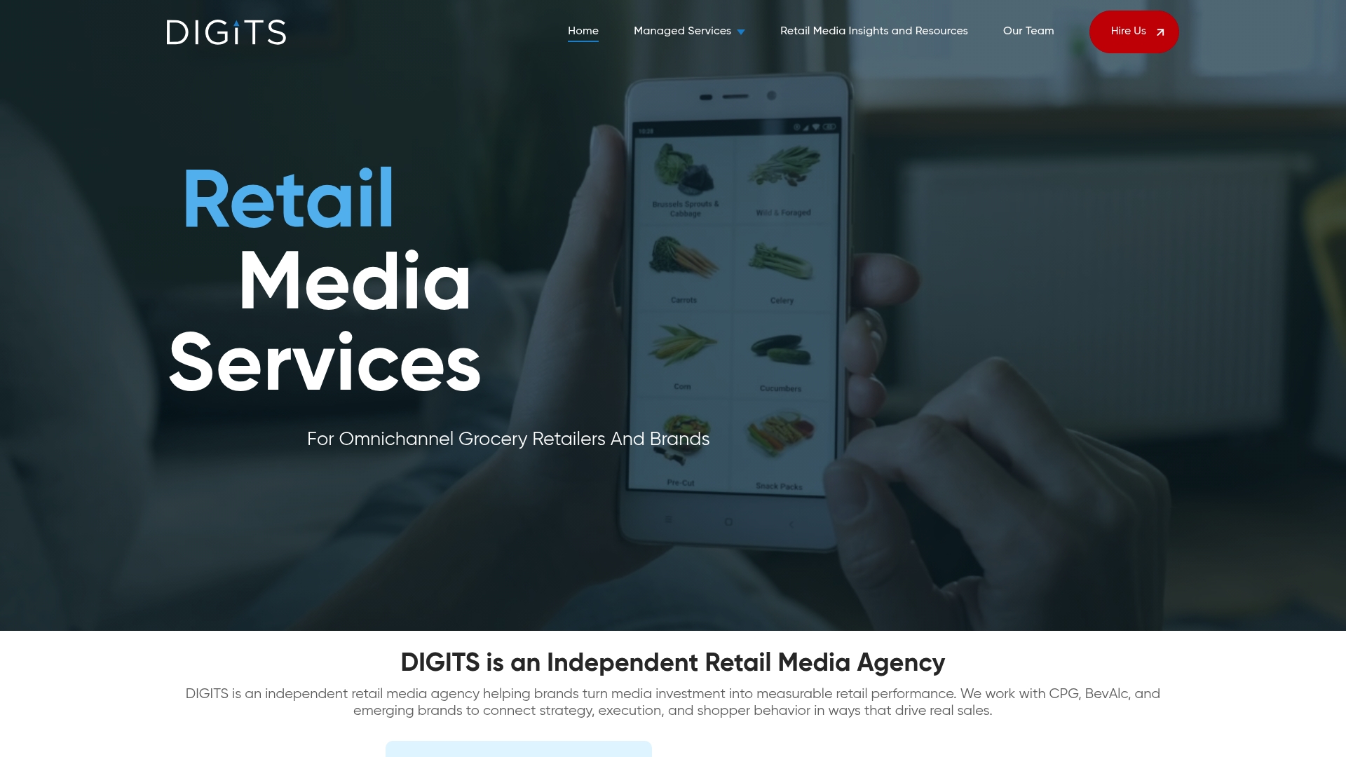 https://digitsagency.com