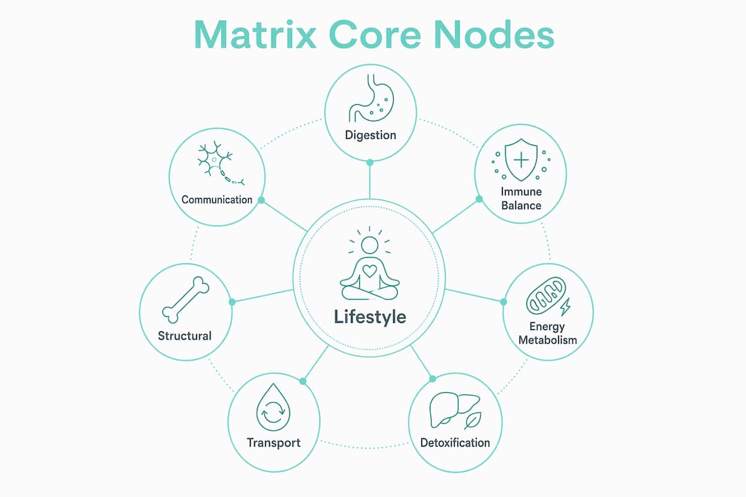 Infographic of Functional Medicine Matrix core nodes