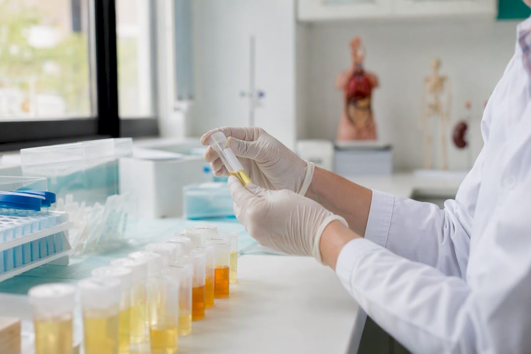 Types of Functional Diagnostic Tests Every Clinician Should Know