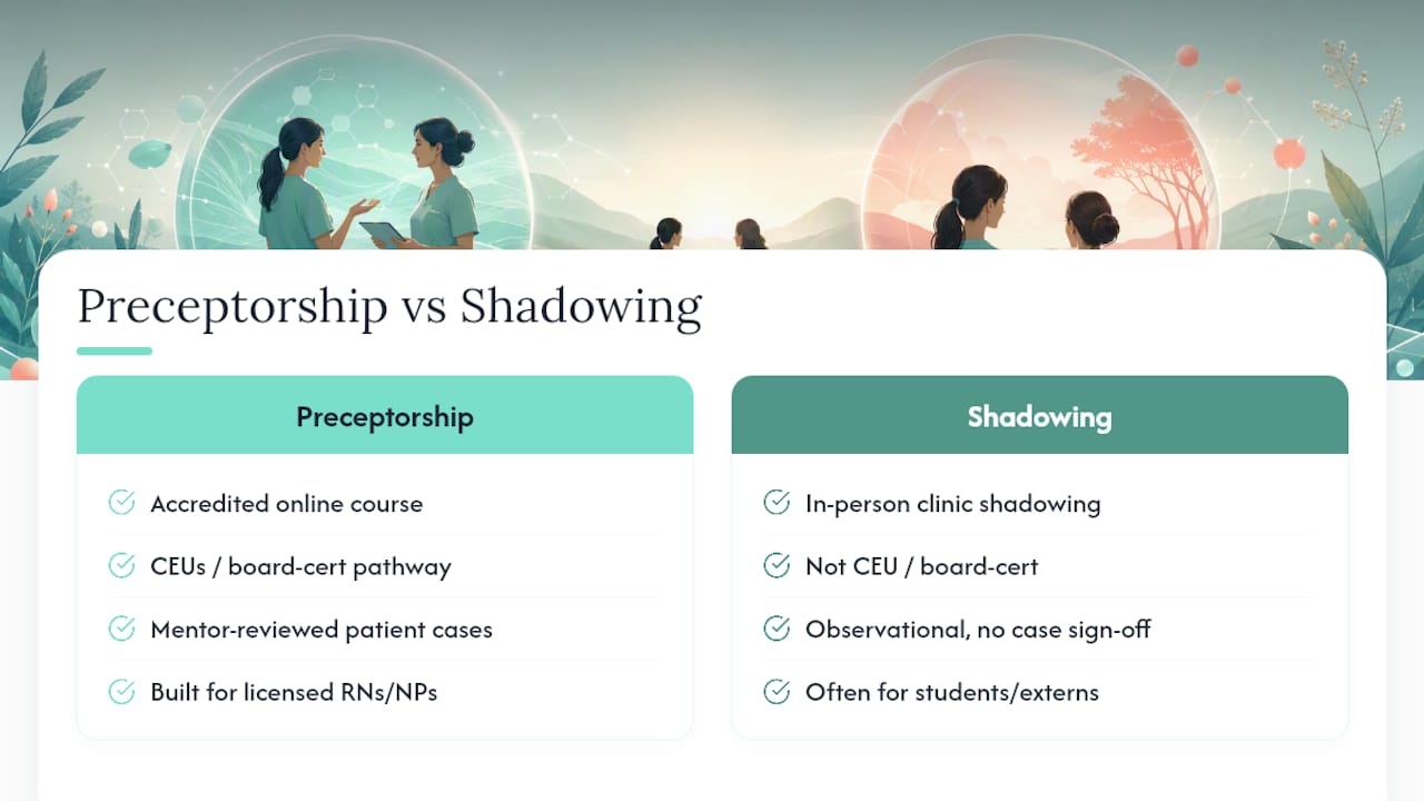 What Counts as a Functional Medicine Preceptorship? — overview diagram