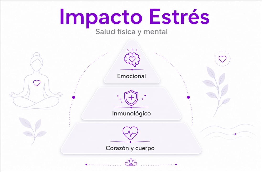 Guía visual sobre cómo afecta el estrés a nuestro cuerpo y mente