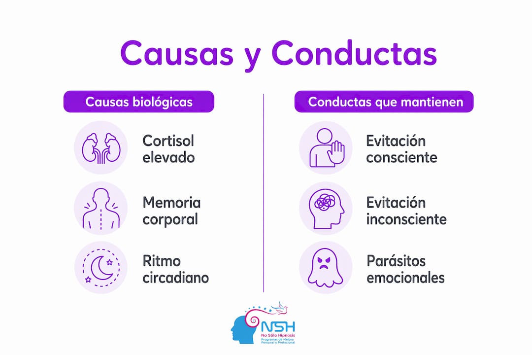 Infografía: diferencias entre las causas y los comportamientos relacionados con la ansiedad