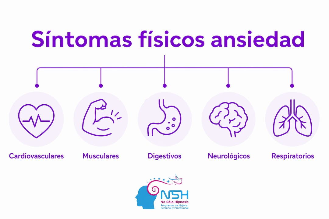 Infografía que muestra las principales manifestaciones físicas de la ansiedad agrupadas por categorías