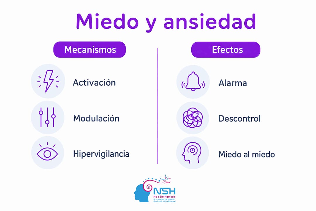 Infografía que muestra las diferencias entre los mecanismos y las consecuencias del miedo y la ansiedad