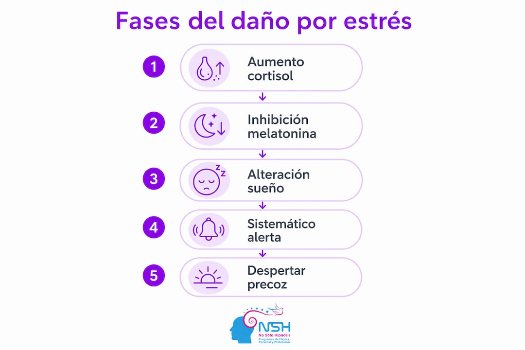Infografía: fases del deterioro del sueño causado por el estrés