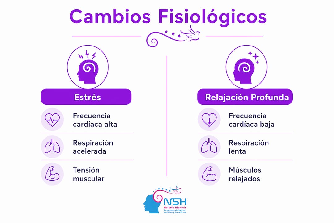 Infografía que compara distintos estados del cuerpo