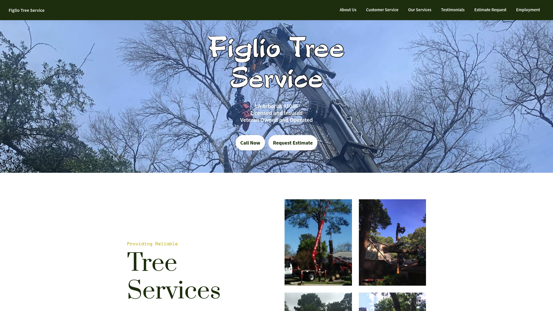https://figliotreeservice.com