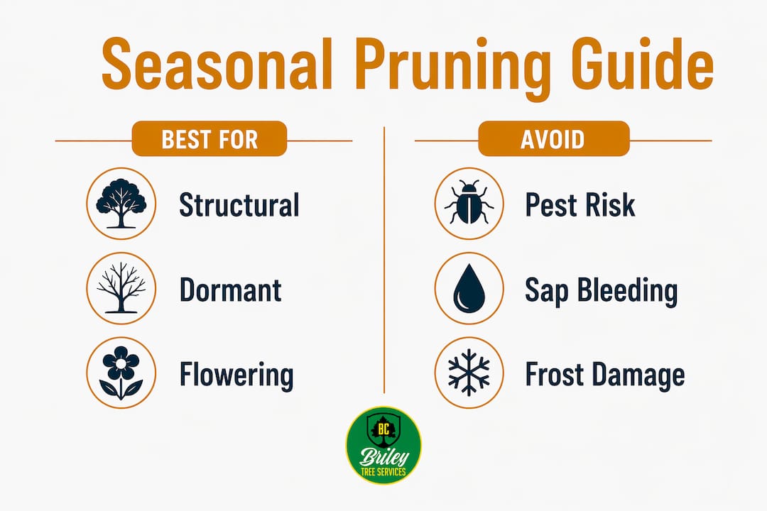 Infographic comparing best and avoid pruning seasons
