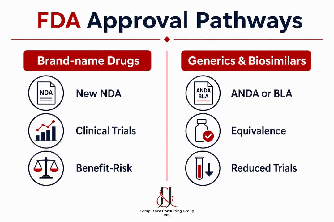 Infographic comparing FDA approval pathways for drug types