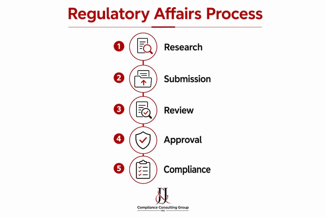 Infographic illustrating regulatory affairs process steps