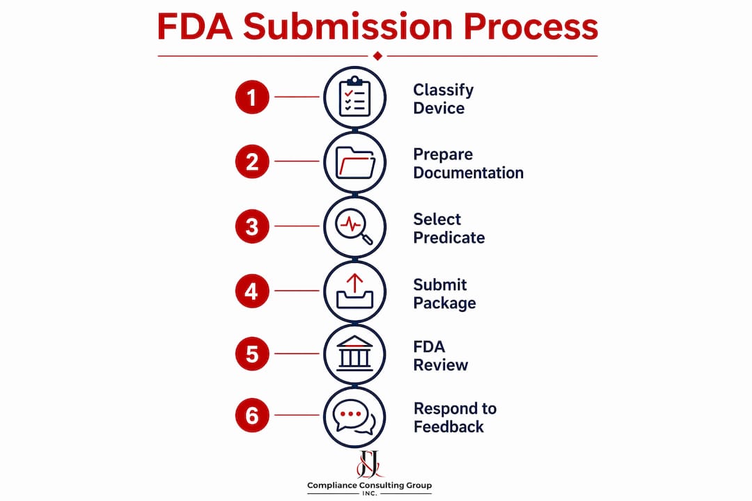 Infographic outlining FDA submission process steps