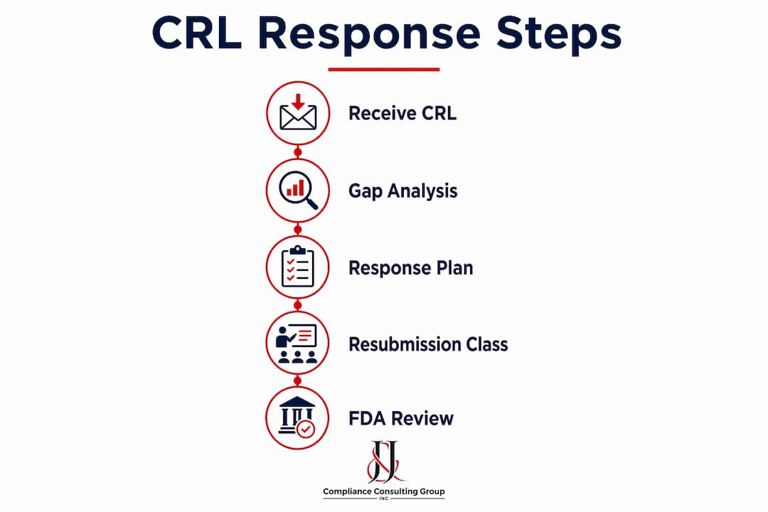 Infographic outlining FDA CRL response steps