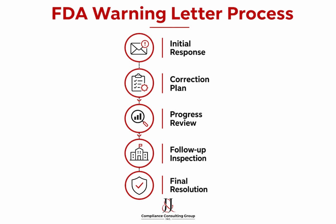 Infographic outlining FDA warning letter timeline and process steps