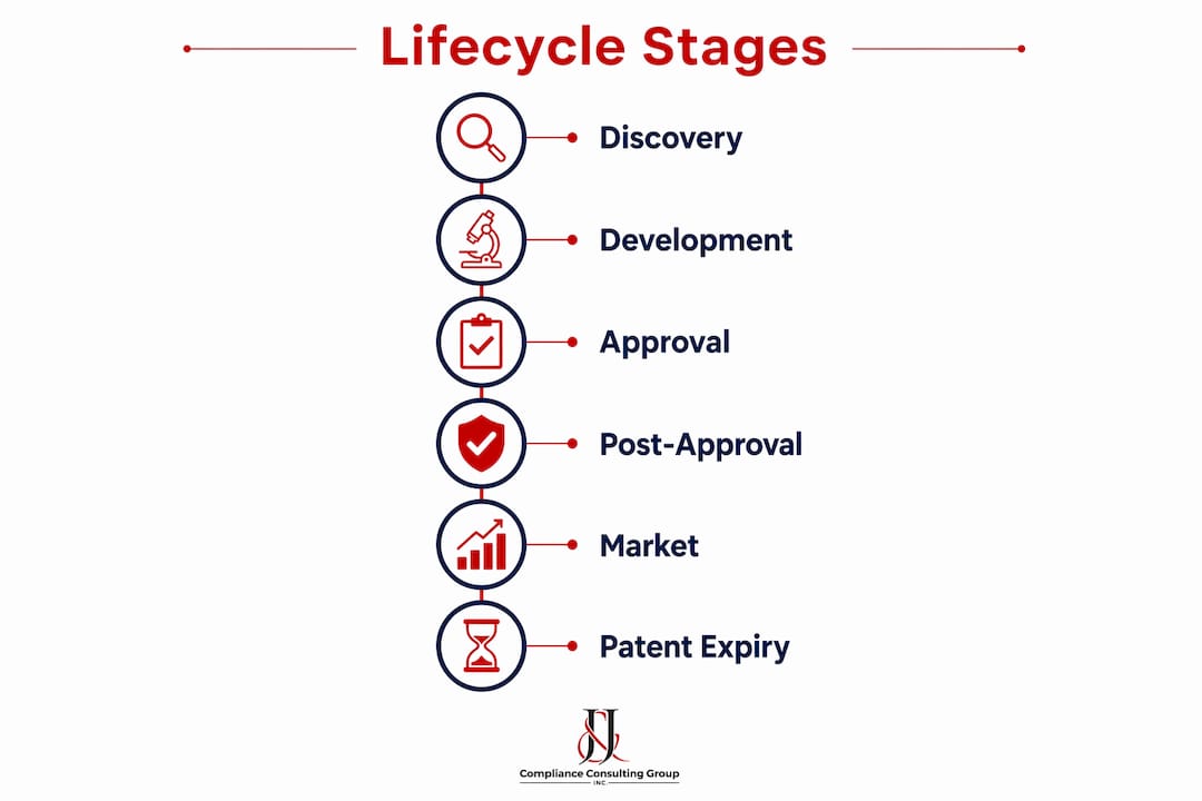 Infographic depicting pharmaceutical lifecycle management stages