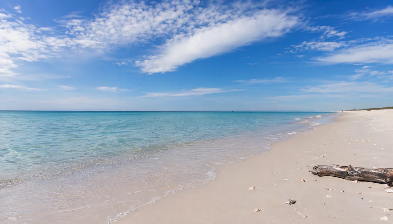 Quiet natural shoreline at Henderson Beach in morning