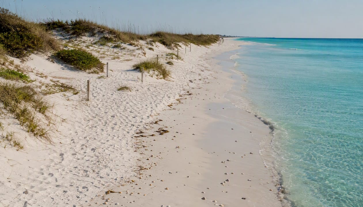 Henderson Beach dunes and shoreline
