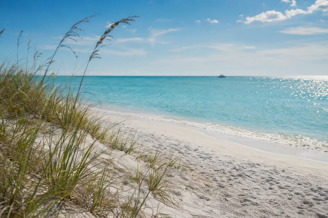Clean beach shoreline alternative to red tide area