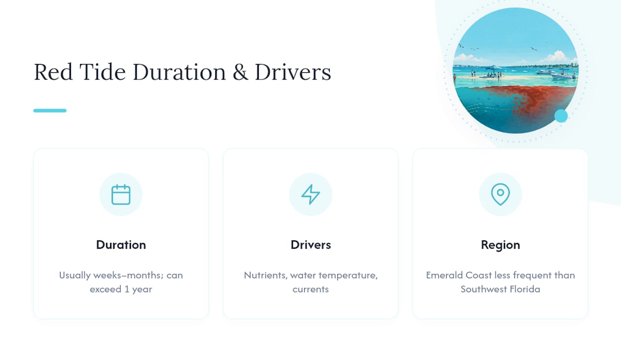 Red tide bloom duration and causes diagram