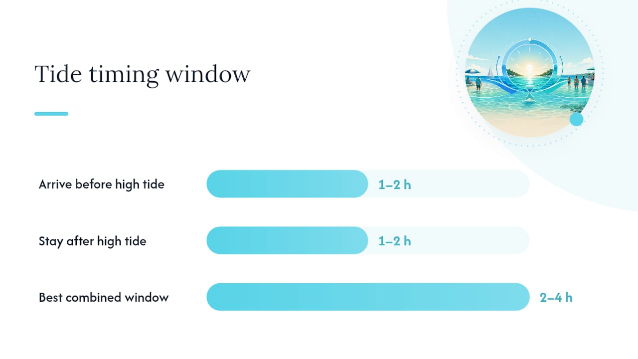 How Tides Change the Sandbar Experience — overview diagram