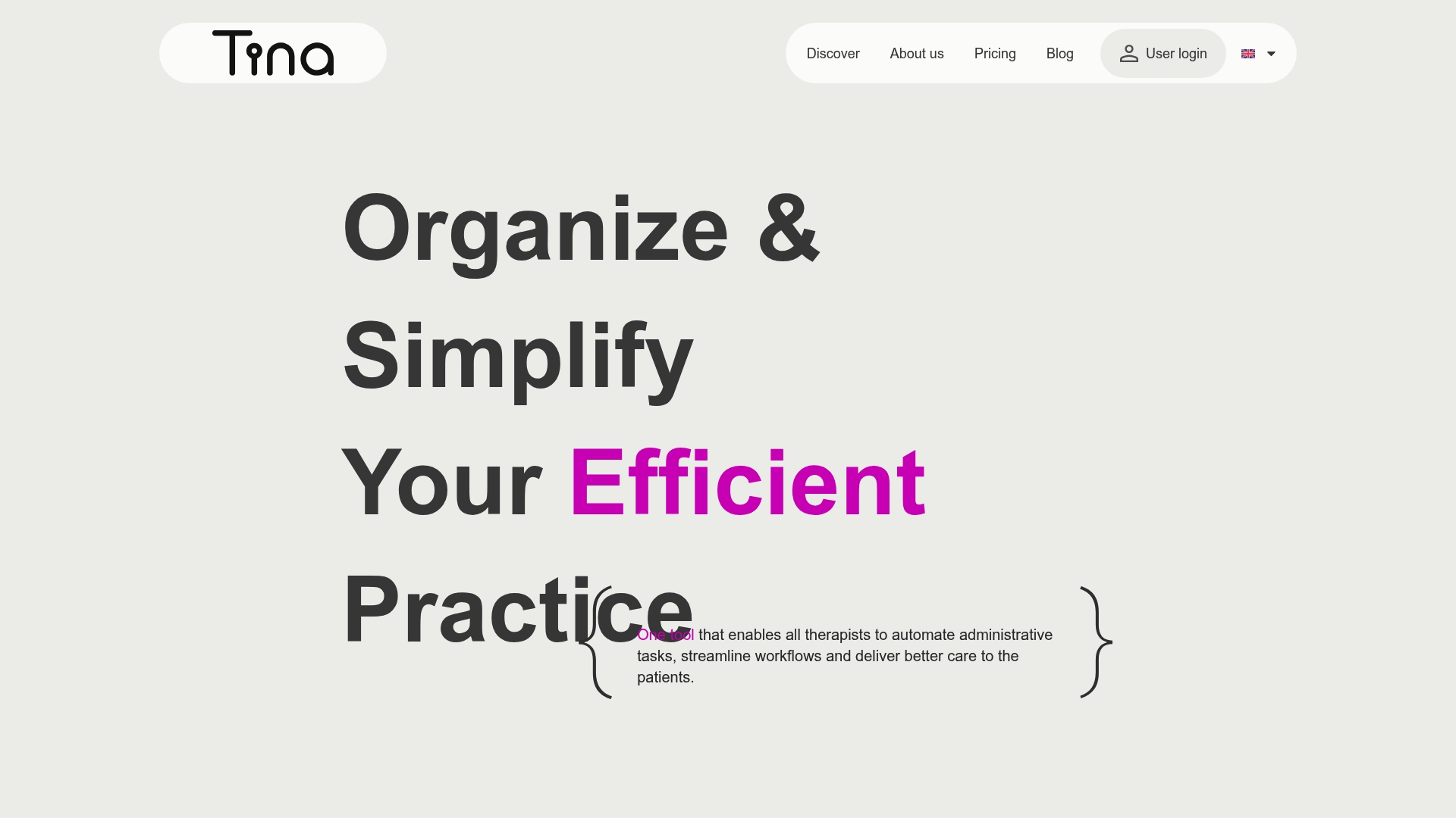 TINA Assistant program