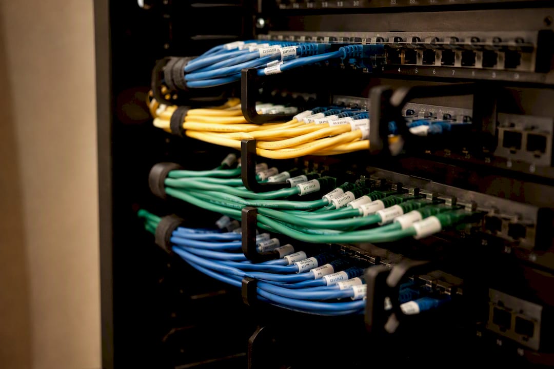 Close-up of labeled cables in network patch panel