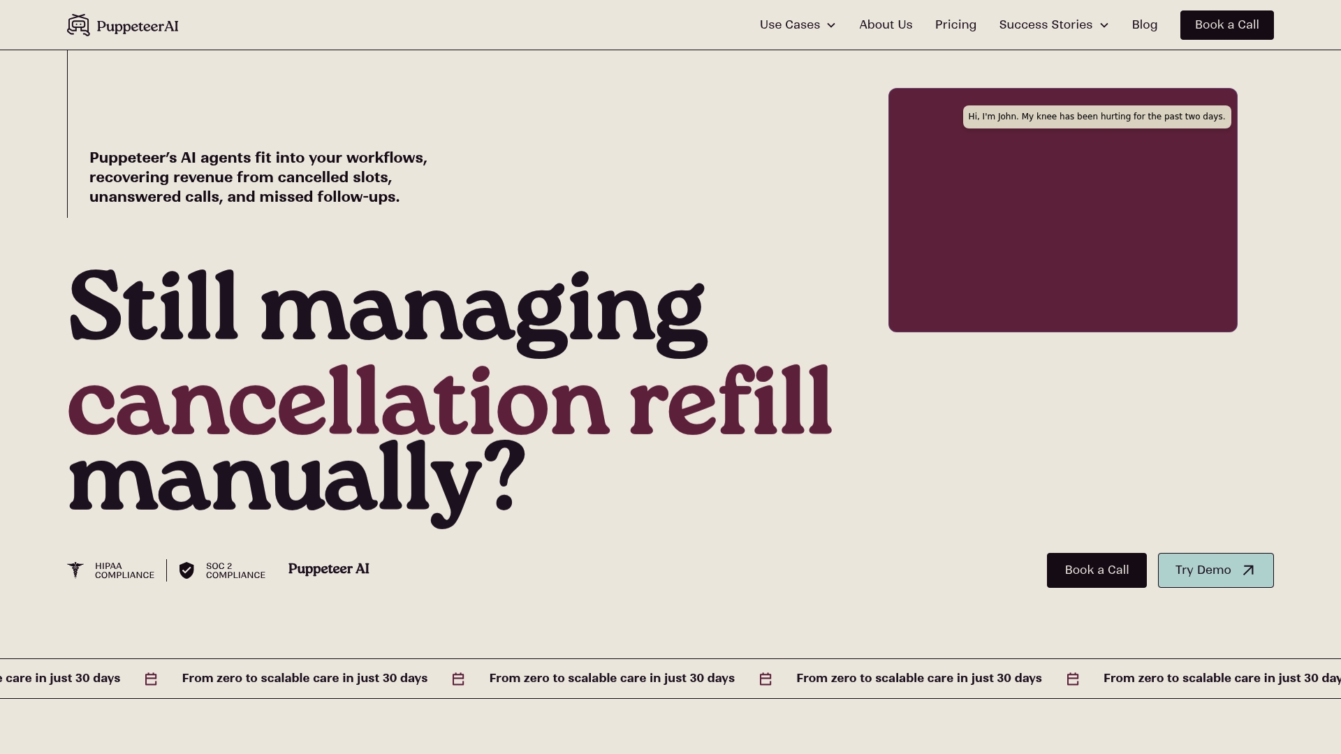 Screenshot of the puppeteerai.com website