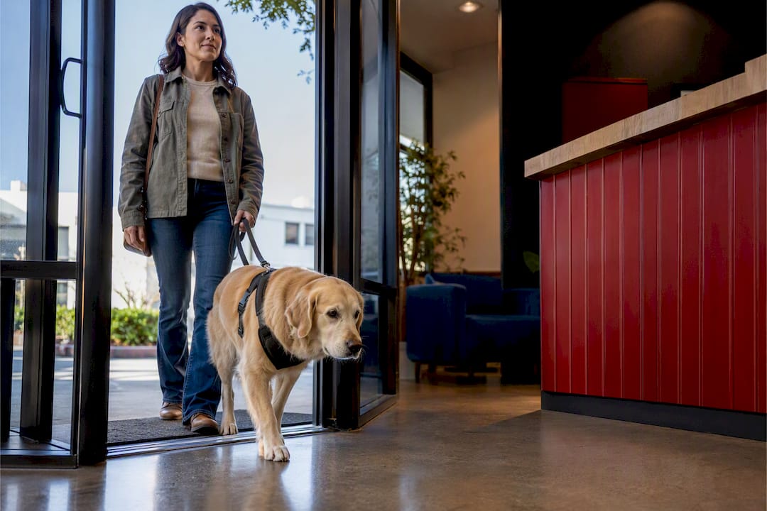 Service dog entering a leasing office