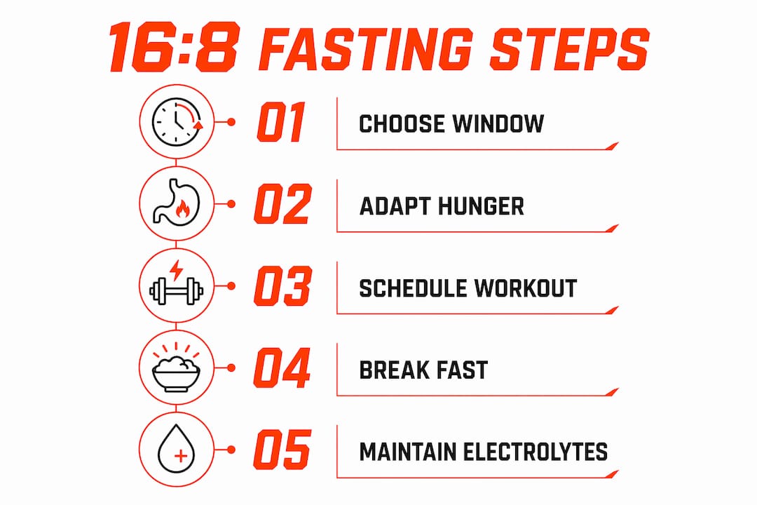 Infographic showing 16:8 fasting metabolic steps