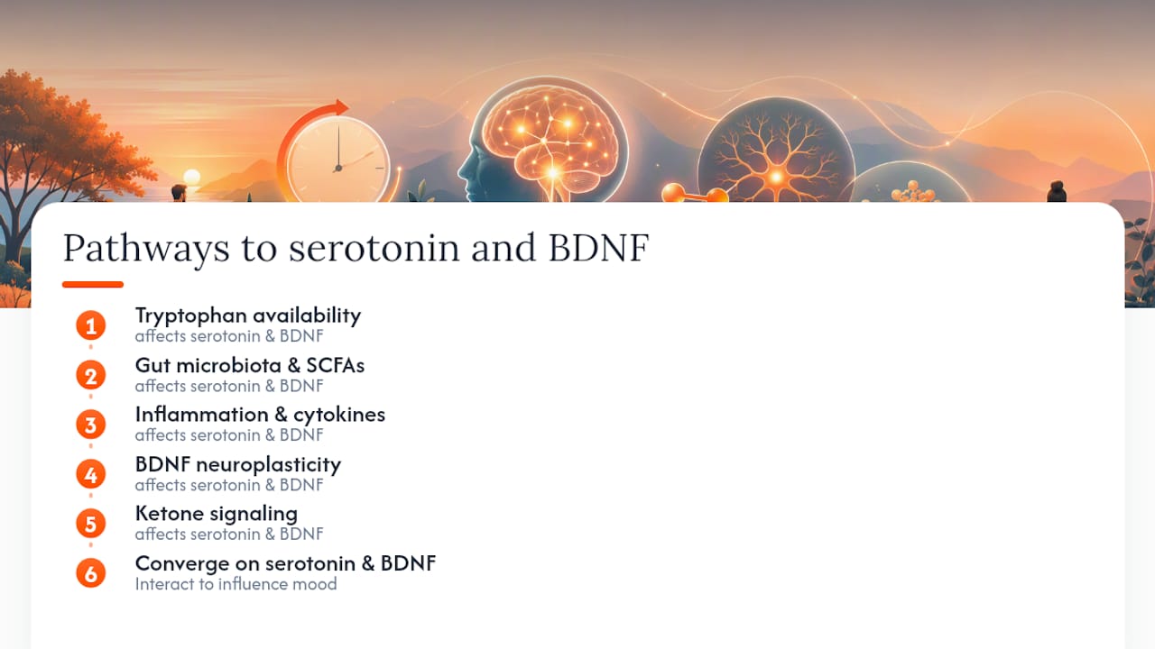 Diagram of fasting’s multiple biological pathways affecting serotonin and BDNF