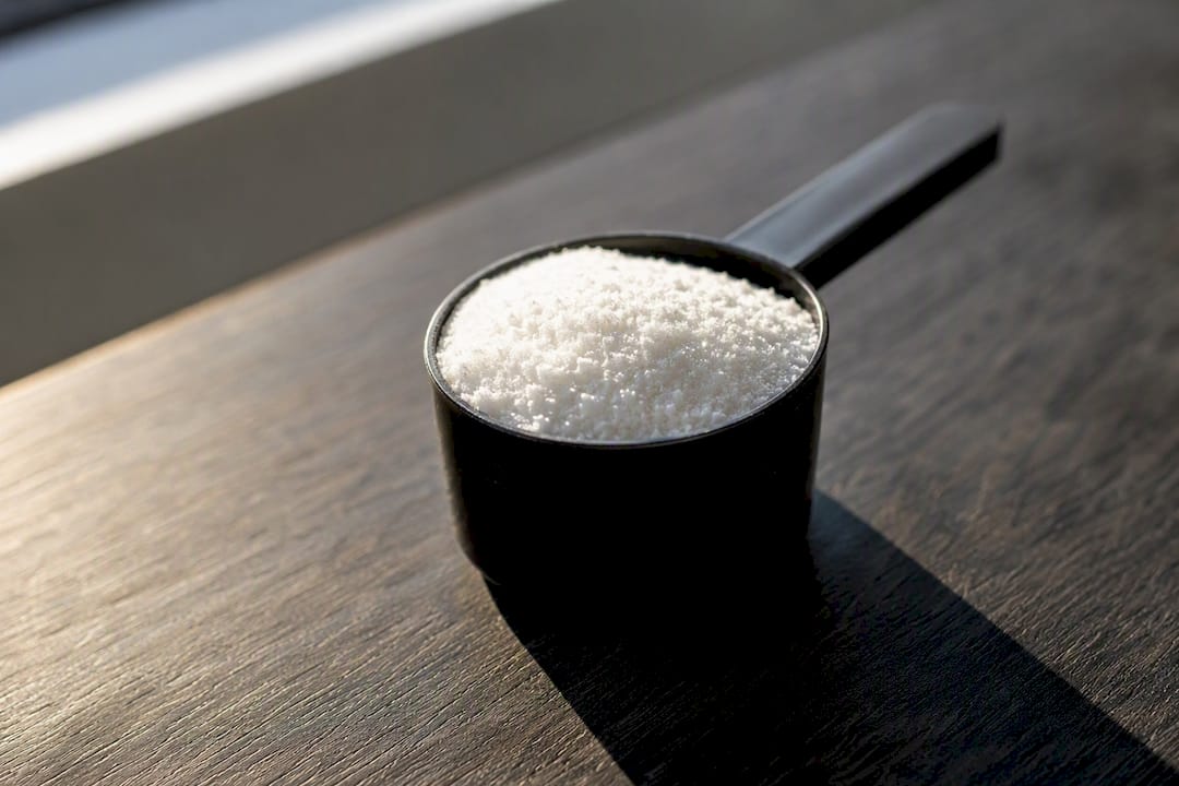 Close-up scoop of pure creatine powder