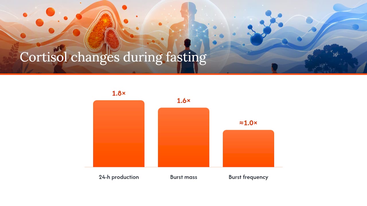 What Happens to Cortisol During Fasting? — overview diagram