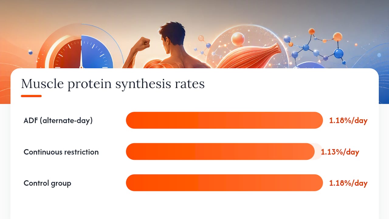 Muscle Loss Intermittent Fasting: What the Best Studies Actually Show — overview diagram