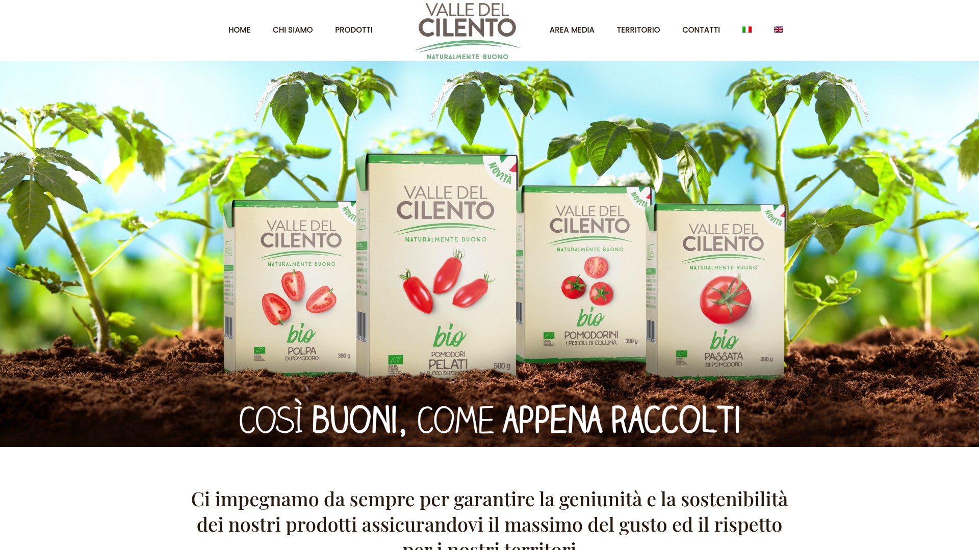 https://valledelcilento.it