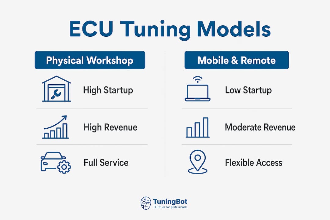 Infographic Comparing Ecu Tuning Business Models With Key Features