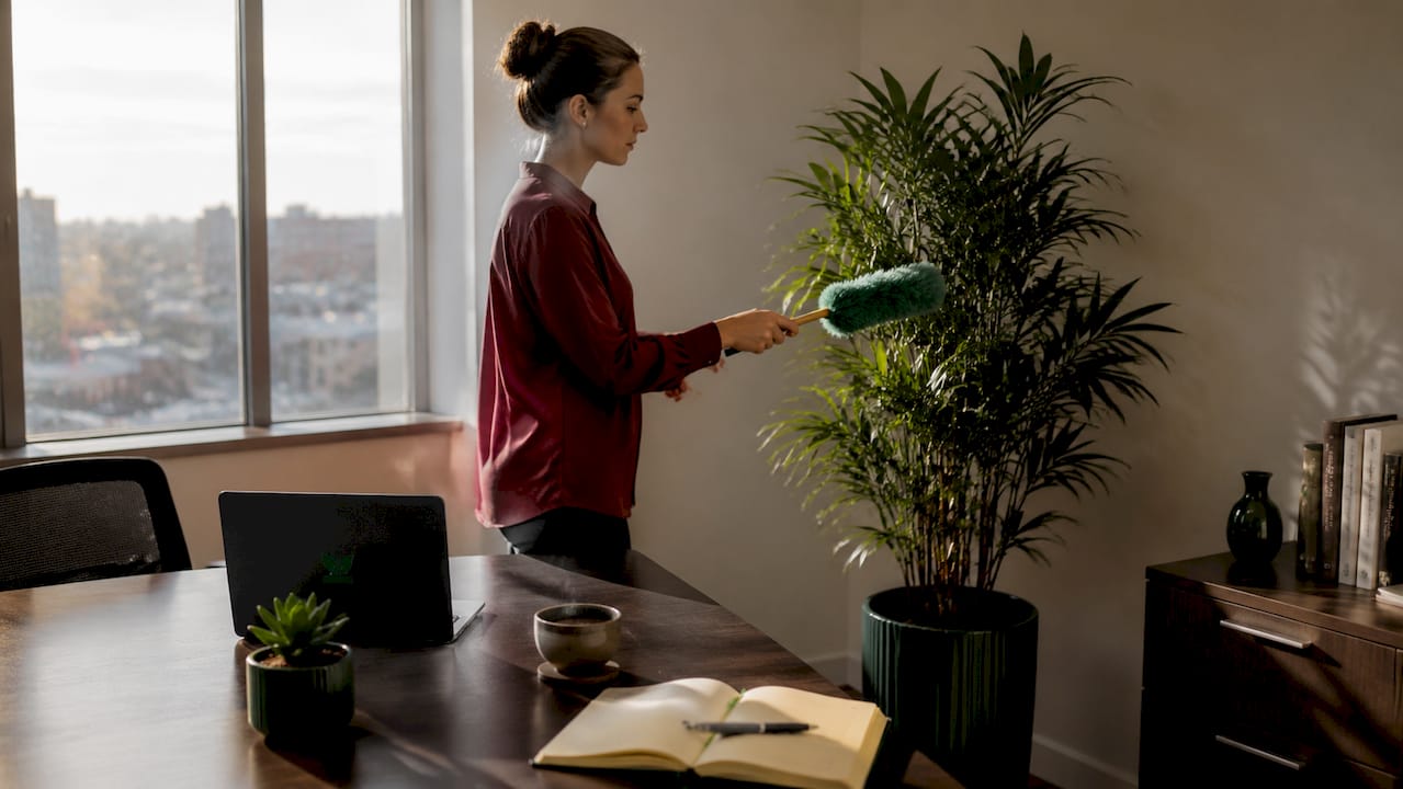 Quelqu’un en train de dépoussiérer une plante artificielle dans un bureau