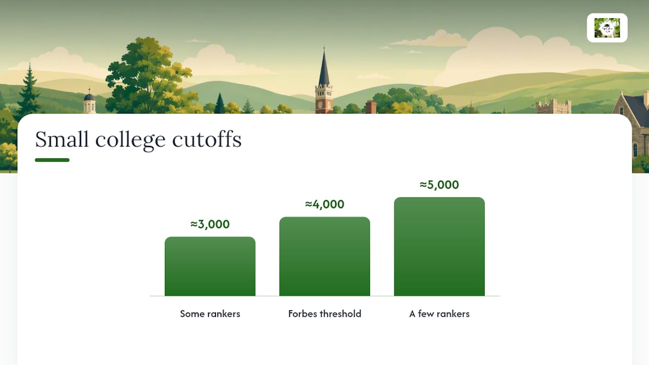 What counts as a 'small college' and why students choose them — overview diagram