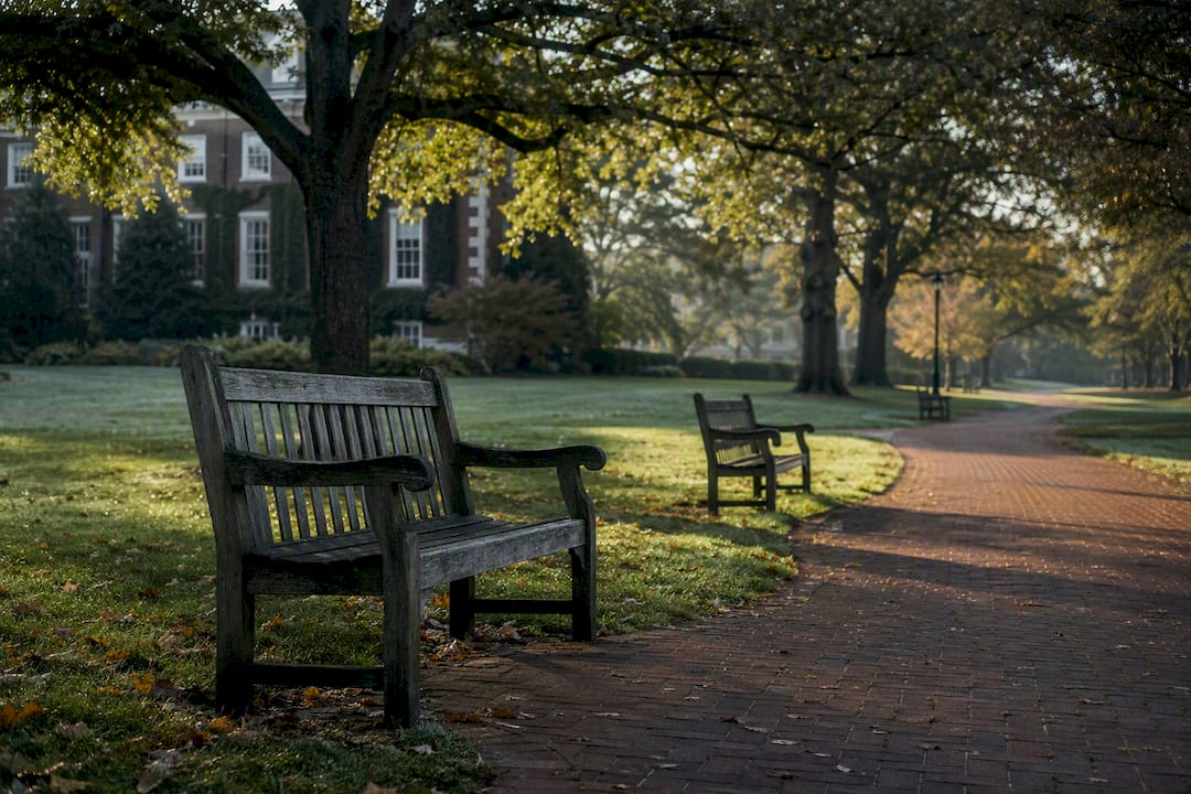 Empty college campus quad with benches and trees