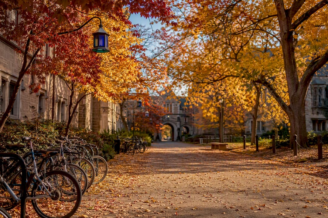 Empty college pathway with autumn leaves