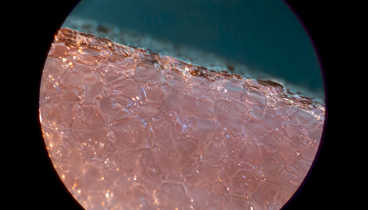 Macro view of hydrated skin barrier surface