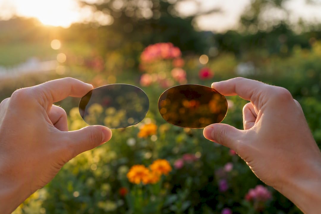 Hands comparing brown and gray sunglass lenses